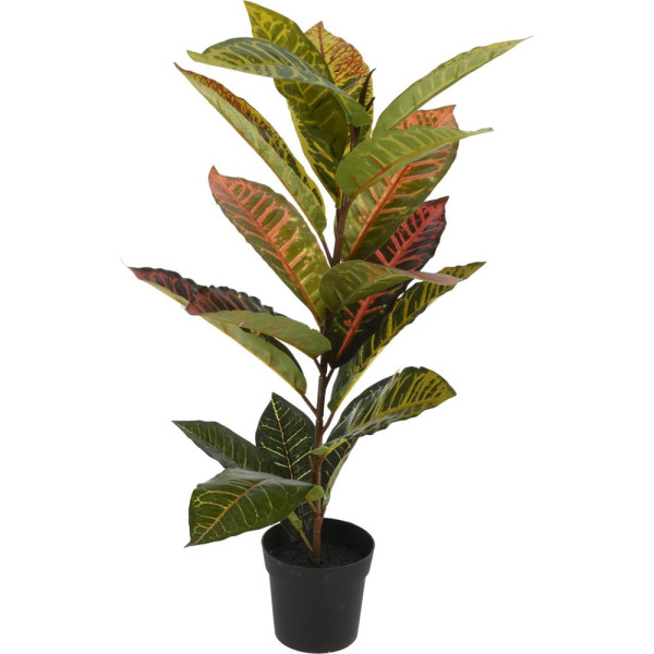 Plant calathea in kunststof pot 65cm