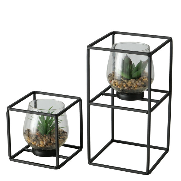 Plant in glas/houder set a 2stuks