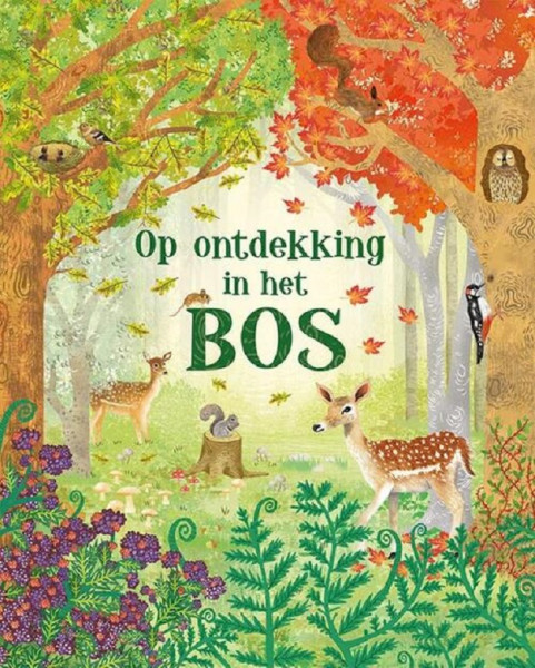 Deltas Op ontdekking in het bos